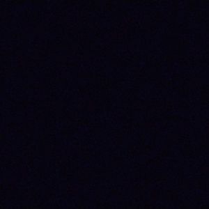 Meet your Posher, Ava